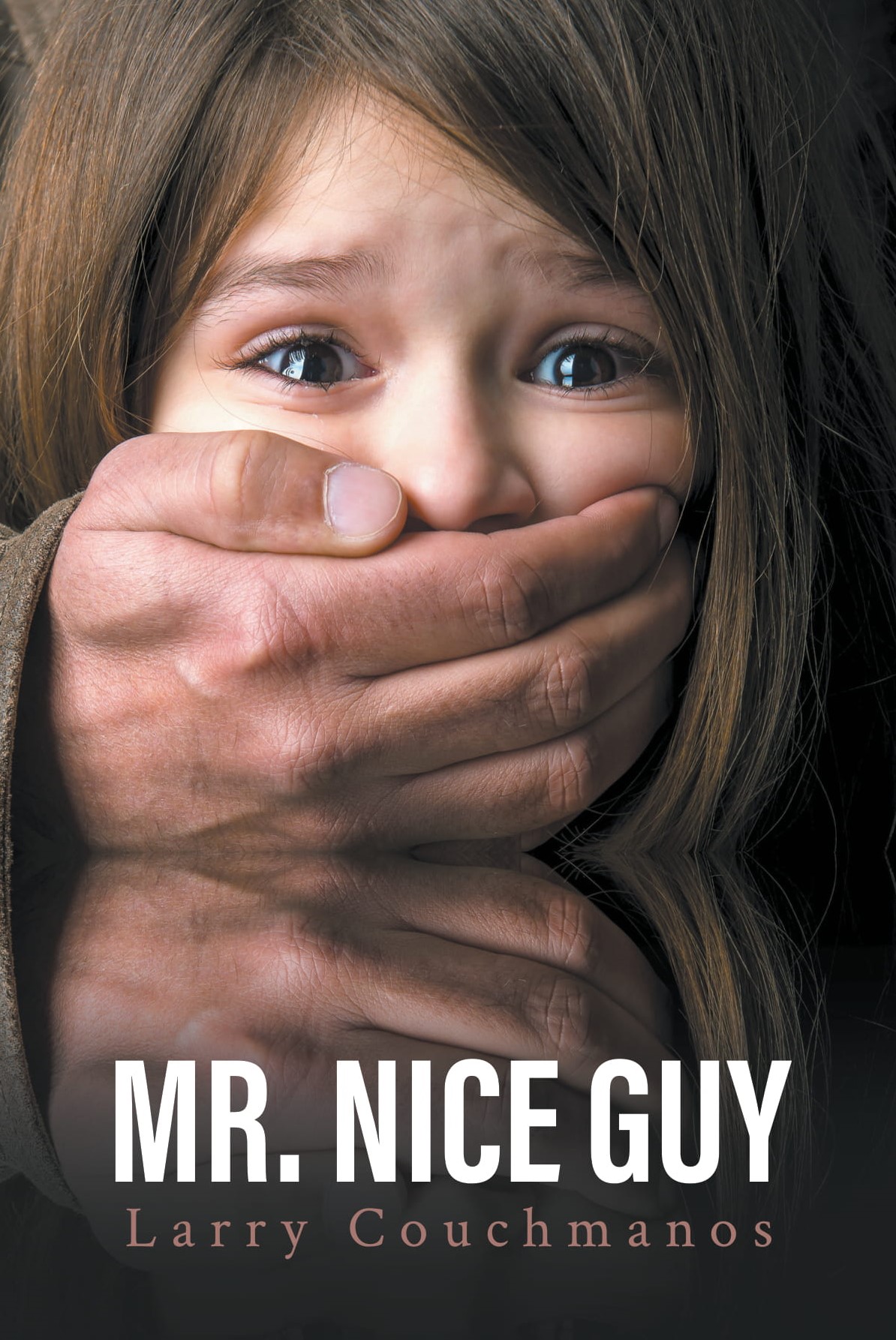 Mr Nice Guy Pierce Brothers Book 1 by Belinda Williams Itsy Bitsy